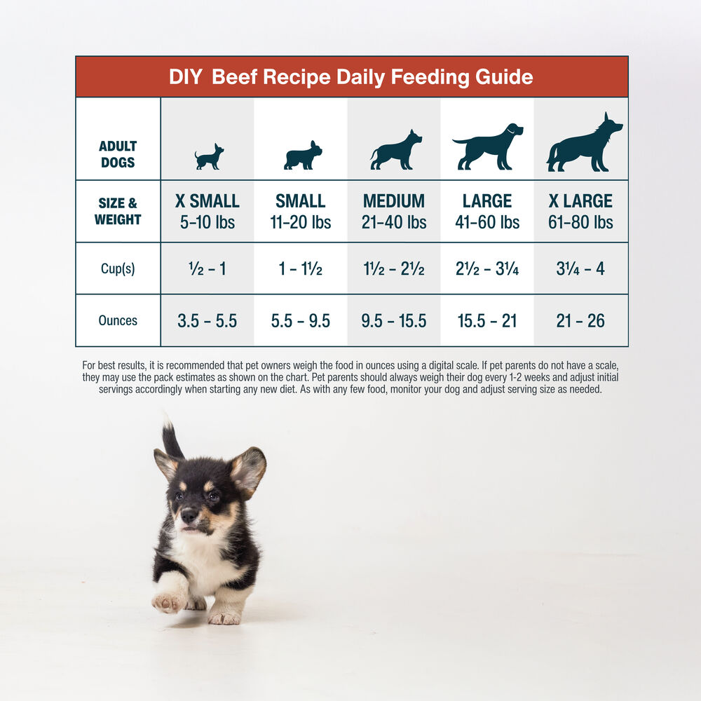 DIY Beef + Omega Algae Oil Bundle